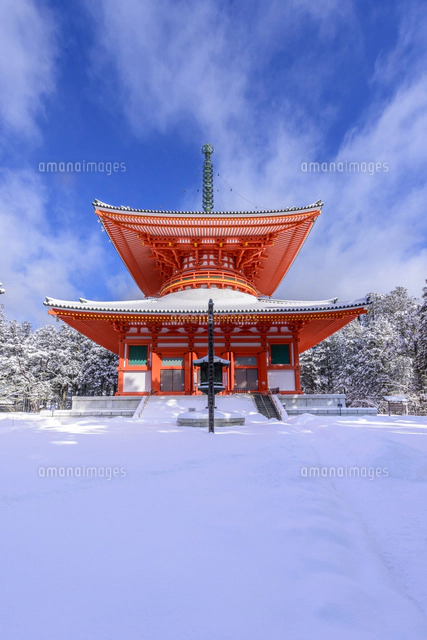 高野山　根本大塔 根本大塔｜スポット｜和歌山県公式観光サイト