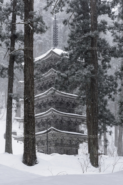 雪降る羽黒山五重塔[02335008762]の写真・イラスト素材｜アマナイメージズ