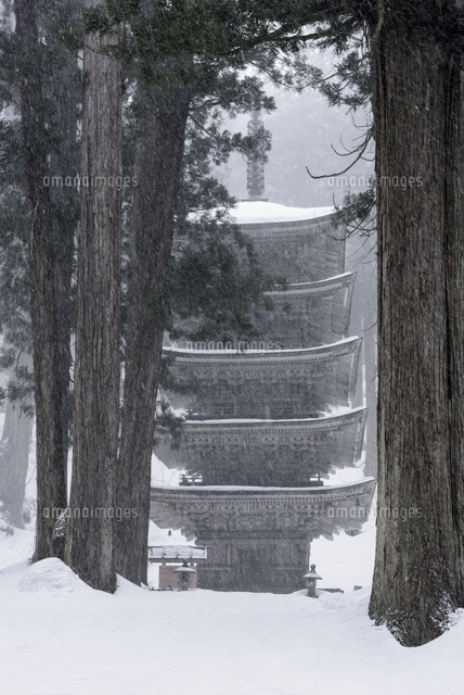 雪降る羽黒山五重塔 の写真素材 イラスト素材 アマナイメージズ