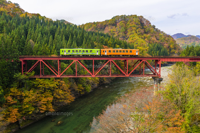 秋の秋田内陸縦貫鉄道[02335009050]の写真・イラスト素材｜アマナ