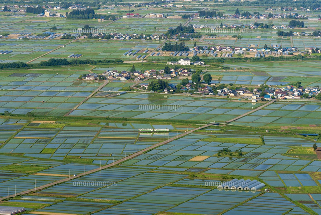 水田広がる会津盆地と只見線[02335009218]の写真・イラスト素材