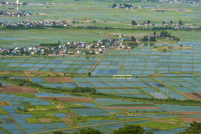 No.3【紀美野の水田里風景】 No.3【紀美野の水田里風景】 里山と水田が織りなす風景に魅せられて