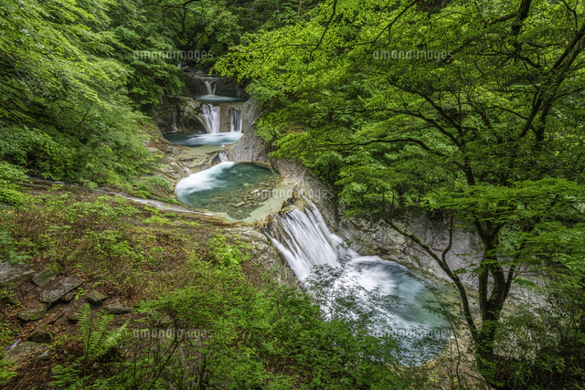 写真素材 創造素材 自然シリーズ (5) 渓流・滝(代引不可) 写真素材 創造素材 自然シリーズ (5) 渓流・滝 直送・代引不可 写真