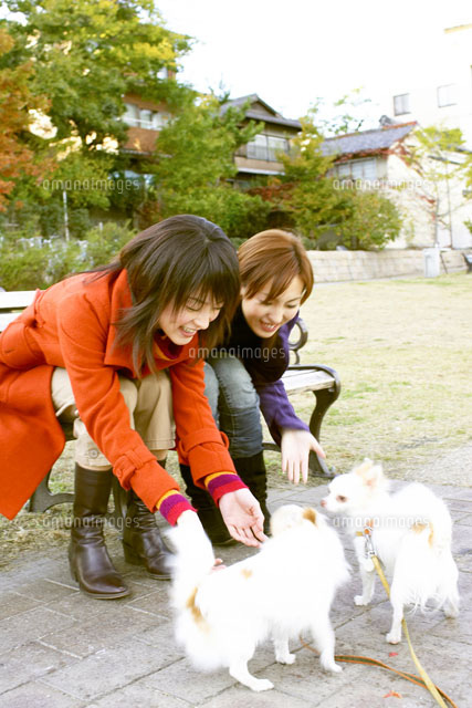 公園で犬と遊ぶ二人の女性 の写真素材 イラスト素材 アマナイメージズ