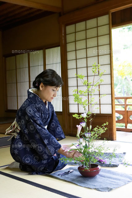 花を生ける着物姿のシニア女性 の写真素材 イラスト素材 アマナイメージズ