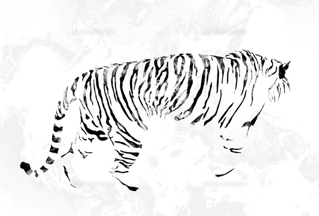 トラの写真素材 ストックフォト アマナイメージズ