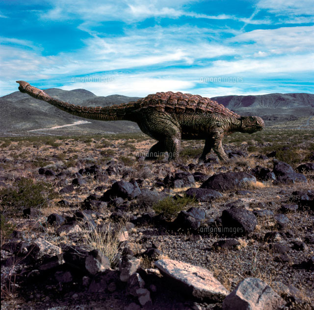 荒野を歩くアンキロサウルス の写真素材 イラスト素材 アマナイメージズ