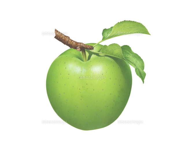 アップル の写真素材 イラスト素材 アマナイメージズ