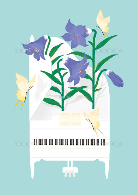 静物 白いグランドピアノと百合 の写真素材 イラスト素材 アマナイメージズ 静物 白いグランドピアノと百合 の写真素材 イラスト素材 アマナイメージズ