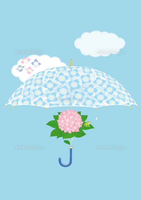 静物 紫陽花の傘と雲 の写真素材 イラスト素材 アマナイメージズ