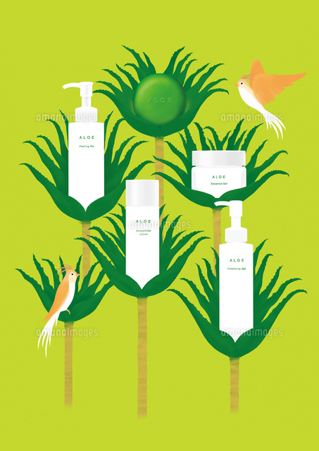 アロエと化粧品 の写真素材 イラスト素材 アマナイメージズ