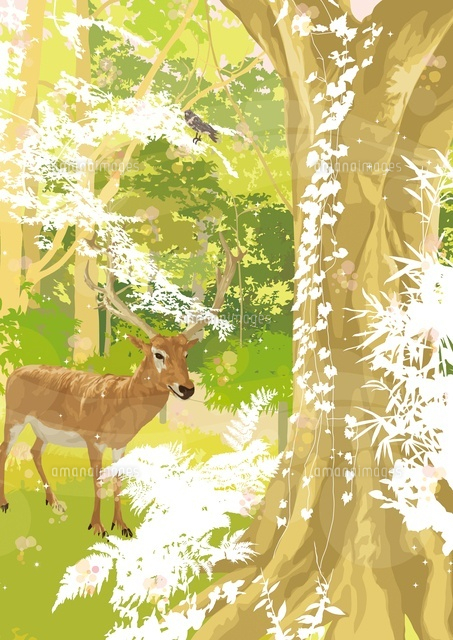 森のなか木の前で佇むレイヨウと鳥 の写真素材 イラスト素材 アマナイメージズ 森のなか木の前で佇むレイヨウと鳥 の写真素材 イラスト素材 アマナイメージズ