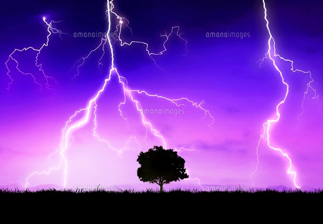 雷の落ちる平原と木[02427000114]の写真・イラスト素材｜アマナイメージズ