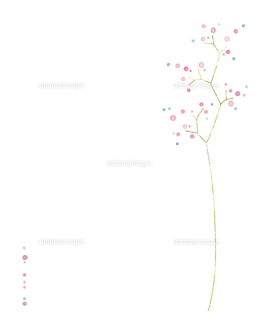 小さな木の実 02458000006 の写真素材 イラスト素材 アマナイメージズ