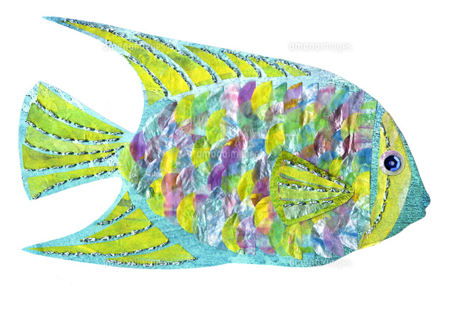 熱帯魚のモチーフ[02463001384]の写真・イラスト素材｜アマナイメージズ