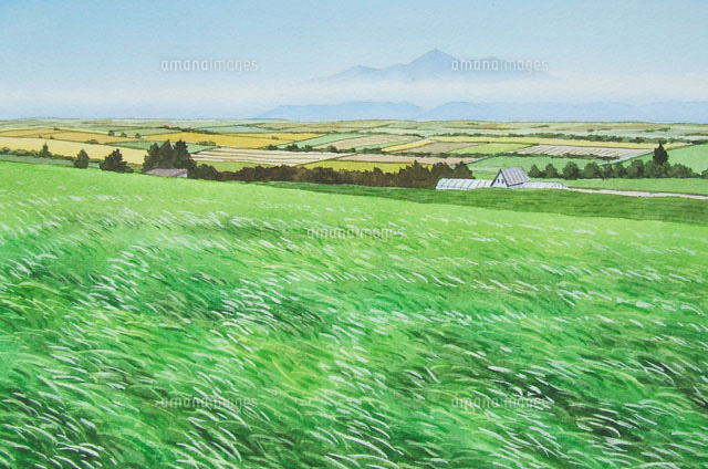 水彩画 風の丘[02488000024]の写真・イラスト素材｜アマナイメージズ