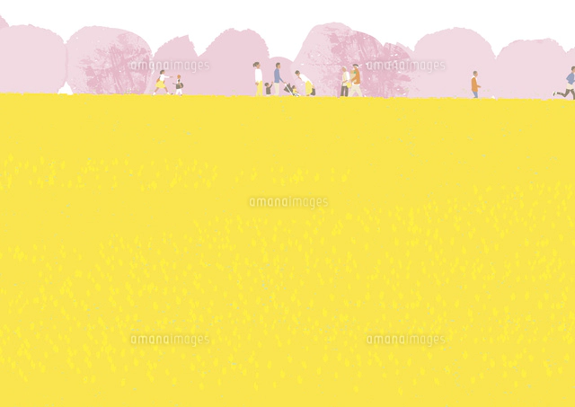 菜の花 桜のイラスト素材 アマナイメージズ
