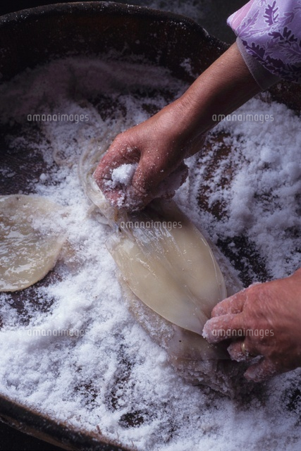 魚醤塩辛作り 真イカの身を塩漬けにする。[02547000445]の写真素材 