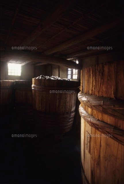 たまり作り 味噌作り 大樽に石の重して３年寝かせる の写真素材 イラスト素材 アマナイメージズ