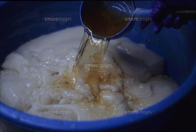 こんにゃくづくり ペースト状のこんにゃくに灰汁を入れる の写真素材 イラスト素材 アマナイメージズ