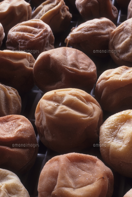 梅干作り の写真素材 イラスト素材 アマナイメージズ