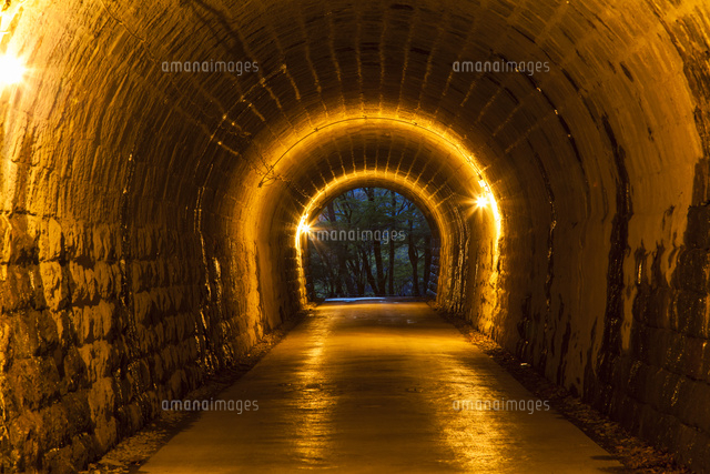 旧天城トンネル の写真素材 イラスト素材 アマナイメージズ