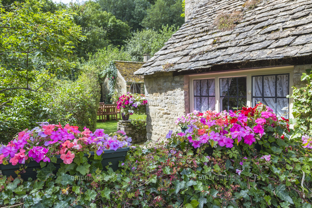 バイブリーの蜂蜜色の石造りの家 の写真素材 イラスト素材 アマナイメージズ