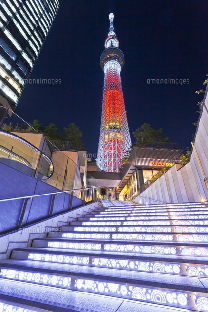 ソラミ坂から見上げた東京スカイツリー キャンドルツリー の写真素材 イラスト素材 アマナイメージズ