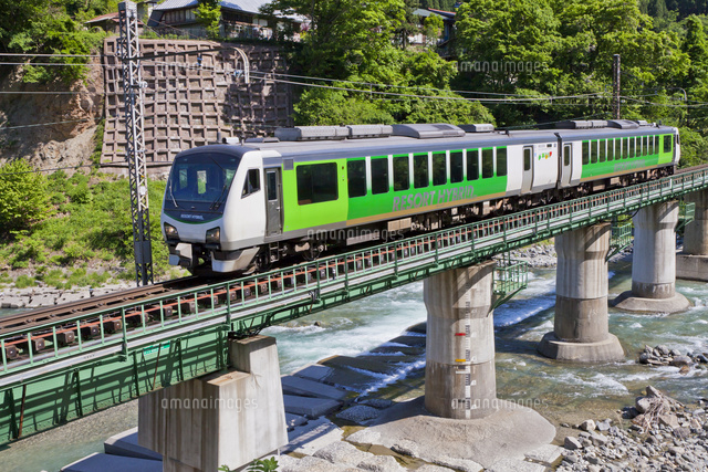 新緑の鉄橋を行くリゾートビューふるさと の写真素材 イラスト素材 アマナイメージズ