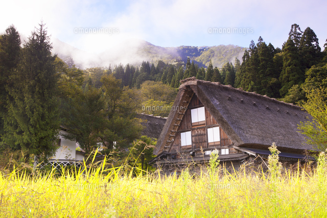 秋の白川郷の朝 の写真素材 イラスト素材 アマナイメージズ