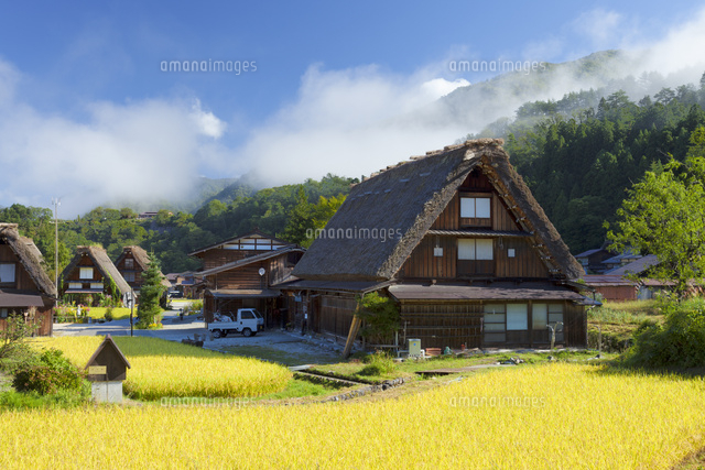 秋の白川郷の朝 の写真素材 イラスト素材 アマナイメージズ