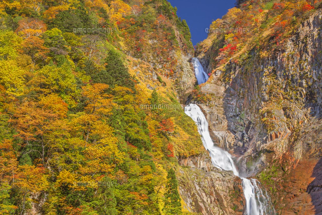 値下げ紅葉の滝　油彩画 値下げ紅葉の滝 油彩画の通販 by わかば ｜ラクマ