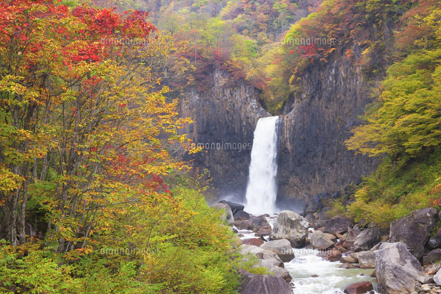 苗名滝の紅葉 の写真素材 イラスト素材 アマナイメージズ
