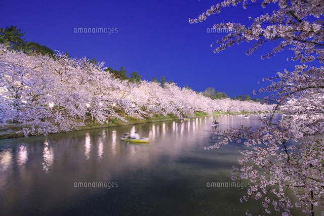 弘前公園の西堀の夜景[02583003586]の写真・イラスト素材｜アマナ