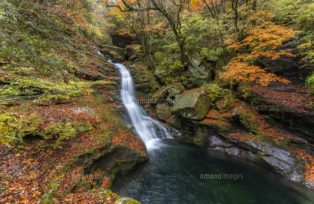 瀬戸川渓谷の蛇渕の滝の紅葉[02583007636]の写真・イラスト素材