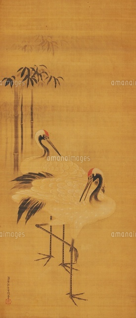 夫婦鶴（CUPPLE CRAINS）[02626000053]の写真・イラスト素材｜アマナ
