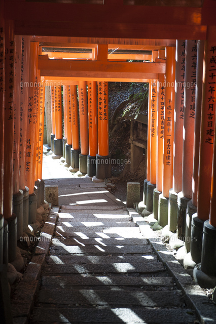 伏見稲荷大社 千本鳥居 光と影 の写真素材 イラスト素材 アマナイメージズ 伏見稲荷大社 千本鳥居 光と影 の写真素材 イラスト素材 アマナイメージズ