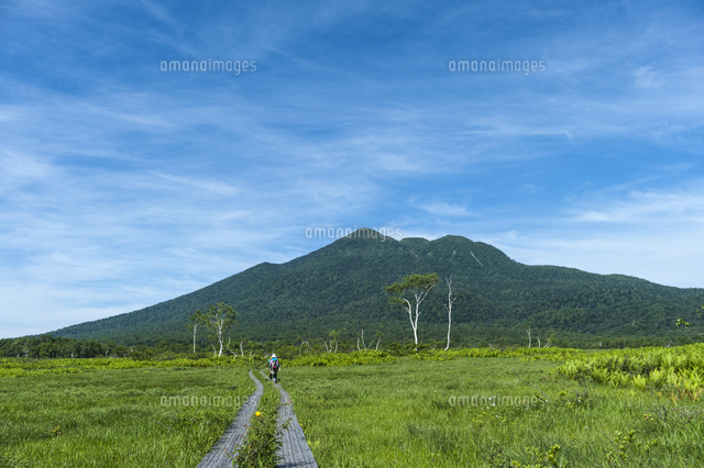 夏の尾瀬 木道と燧ケ岳 の写真素材 イラスト素材 アマナイメージズ