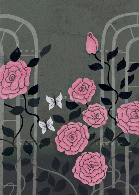 ばらと蝶 の写真素材 イラスト素材 アマナイメージズ