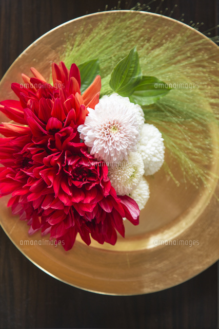 ダリアとポンポンギクの和風アレンジメント の写真素材 イラスト素材 アマナイメージズ