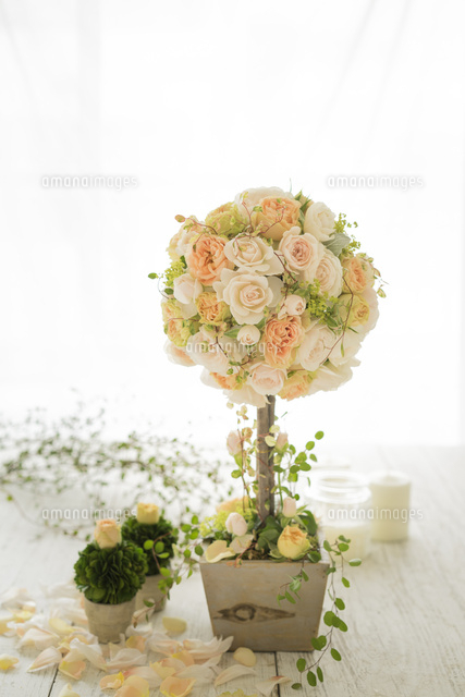 花のトピアリーアレンジ[02684001506]の写真・イラスト素材｜アマナ  