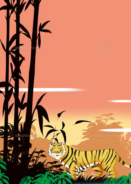 竹林の虎 の写真素材 イラスト素材 アマナイメージズ