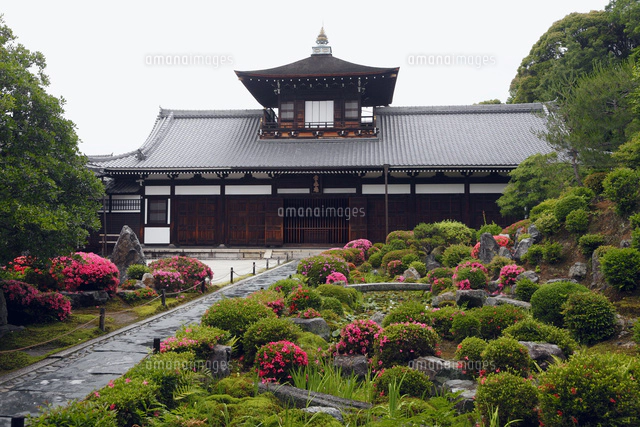 6月初夏 サツキ咲く東福寺開山堂[02700000109]の写真・イラスト素材