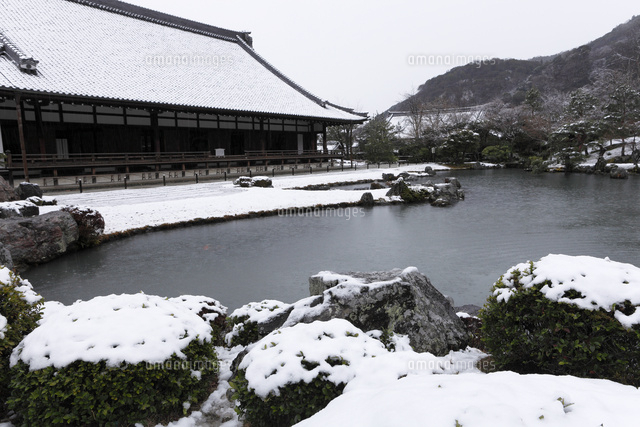 1月 雪の天龍寺曽源池 京都の冬景色 の写真素材 イラスト素材 アマナイメージズ 1月 雪の天龍寺曽源池 京都の冬景色 の写真素材 イラスト素材 アマナイメージズ