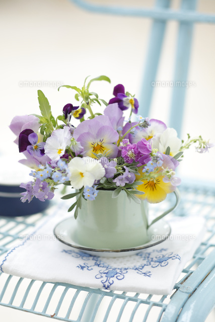 ガーデンチェアー　ビオラ ビオラ ガーデン フォールディングチェアー