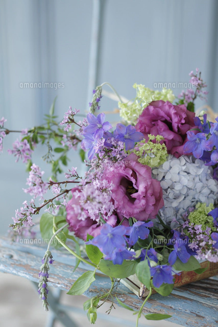 ガーデンチェアー　ビオラ ビオラ ガーデン フォールディングチェアー