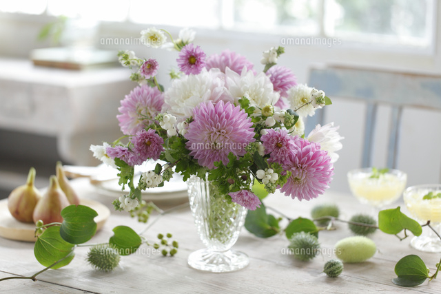 ガラスの花器にアレンジしたピンクのダリアと八重コスモス の写真素材 イラスト素材 アマナイメージズ