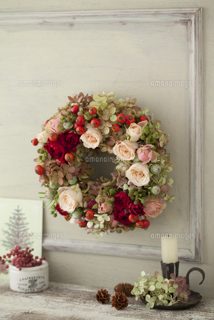 秋色あじさいとバラのクリスマスリース の写真素材 イラスト素材 アマナイメージズ