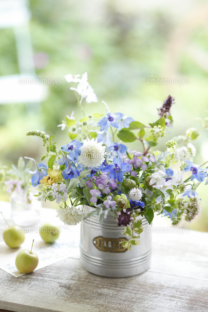 アンティークキャニスターに草花のナチュラルアレンジ の写真素材 イラスト素材 アマナイメージズ