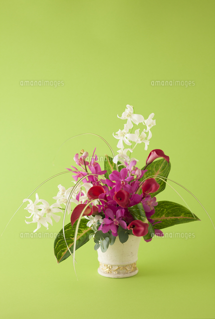 アジアンスタイルのコンポートアレンジ の写真素材 イラスト素材 アマナイメージズ